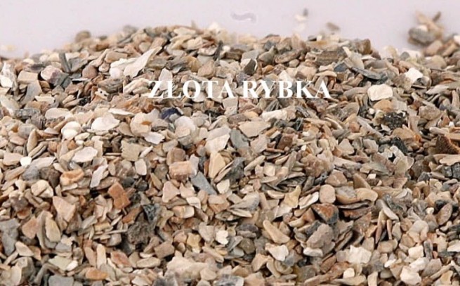Muszla dla Drobiu 2-4mm-Importer  1 Kg