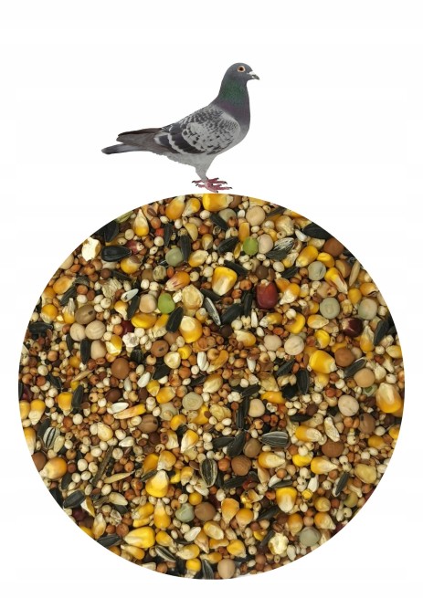 Karma dla gołębi Agro King Pierzeniowa 1kg