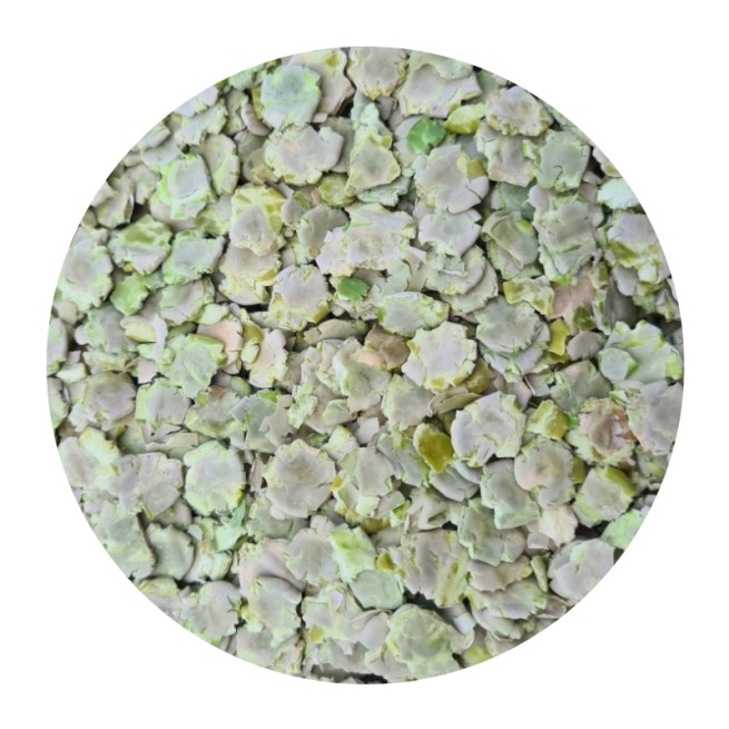 Groch Prasowany  1 kg