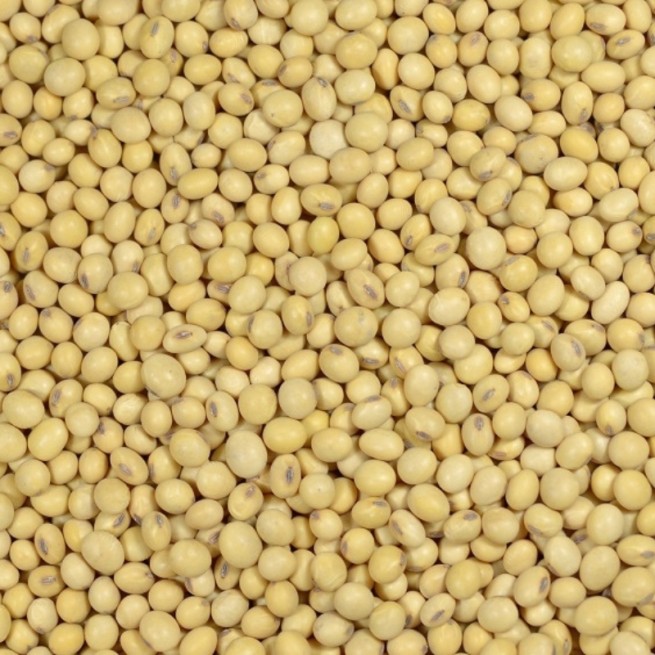 Soja Białko Roślinne 1 kg