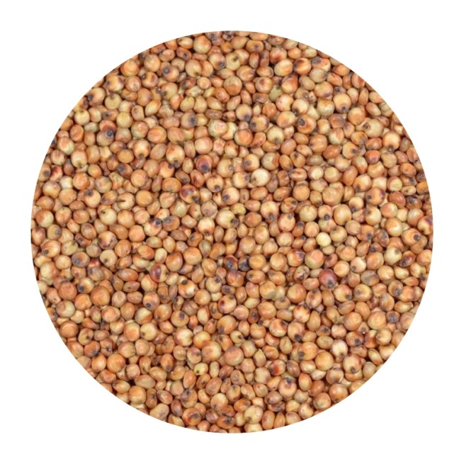 Sorgo Czerwone 1 Kg