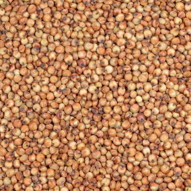 Sorgo Czerwone 1 Kg