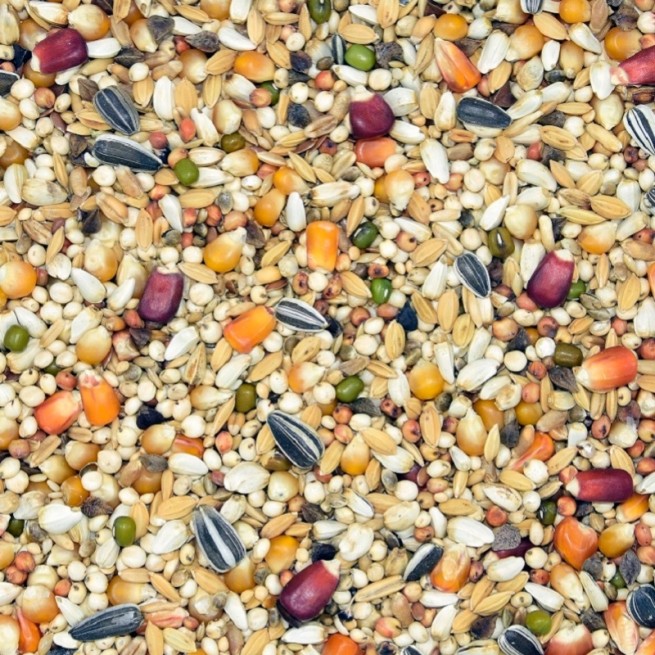 JLW Junior Lotowa Bez Nasion Strączkowych 25 KG MDM (2)