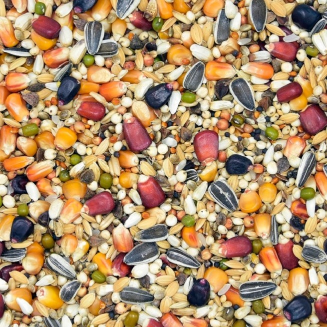 LsE-Lotowa Super Energy - MDM 25kg (2)