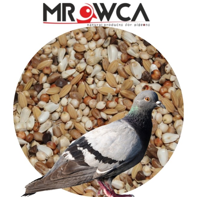 SD-Super Dieta - Mrowca 20kg (1)