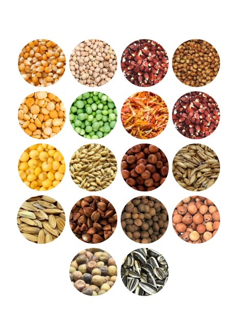 MDM RL Karma Rozpłodowo Lotowa bez pszenicy 25 kg (2)