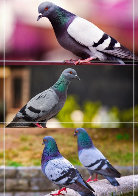 MDM RL Karma Rozpłodowo Lotowa bez pszenicy 25 kg (3)