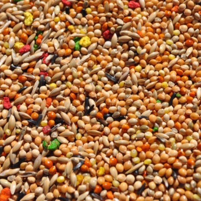 Mała Egzotyka Extra z biszkoptem 20 KG WYSYŁKA GRATIS (2)