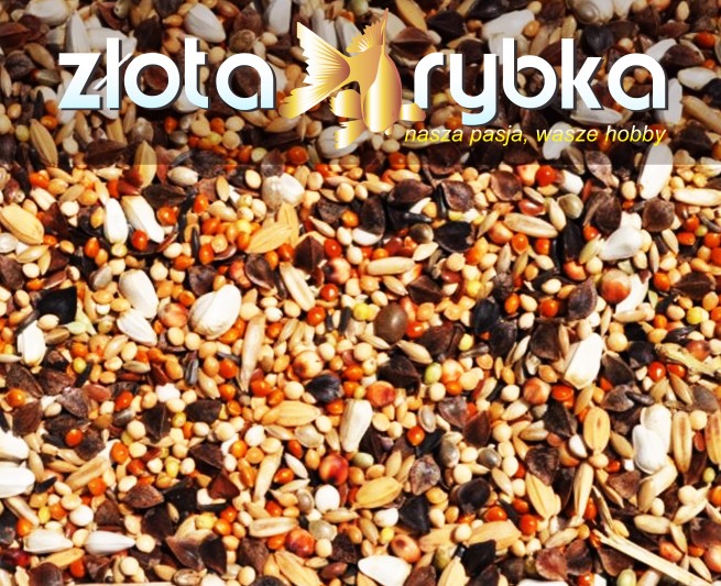 NIEROZŁĄCZKA EXTRA 20 KG WYSYŁKA GRATIS