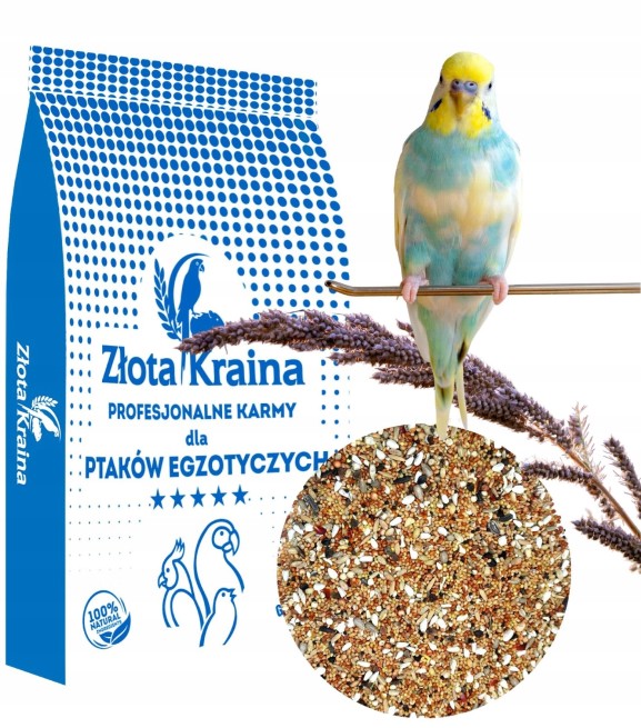 Papuga Falista NAJTANIEJ Super jakość !!! 10 kg (1)