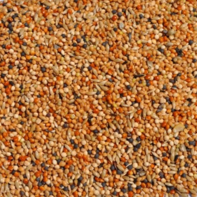 Mała Egzotyka Ekonomik 10 kg ZŁOTA KRAINA