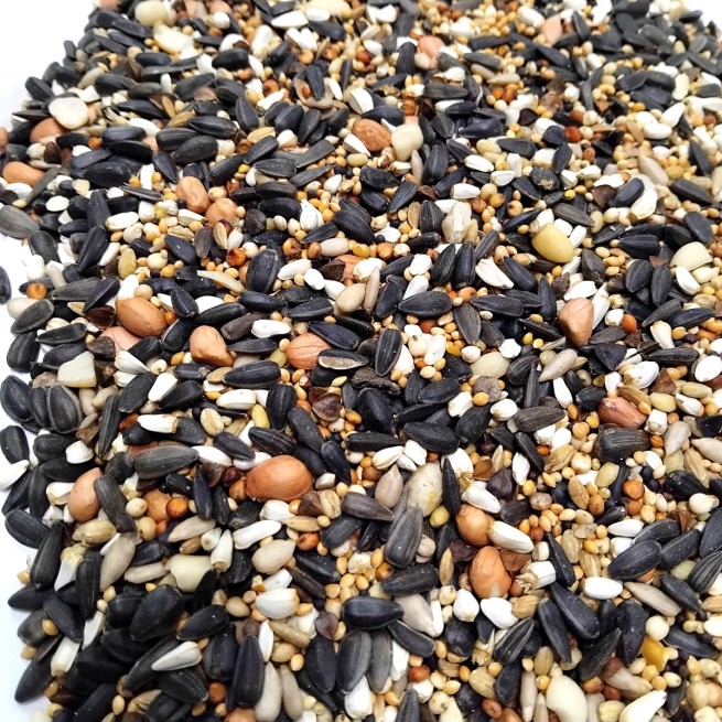 Karma energetyczno-orzechowa 1 kg  (1)