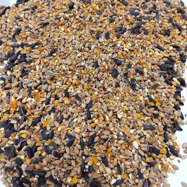 Karma dla kur z muszlą 10 KG ZŁOTA KRAINA (3)