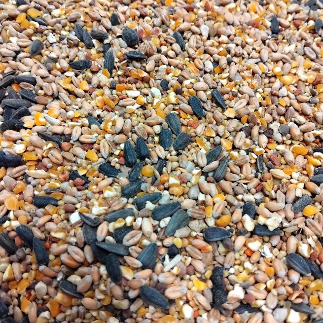 Karma dla kur z muszlą 10 KG ZŁOTA KRAINA (4)