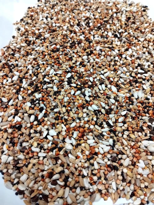 Nasiona Oleiste dla dzikich ptaków 25 kg DARMOWA PRZESYŁKA (2)