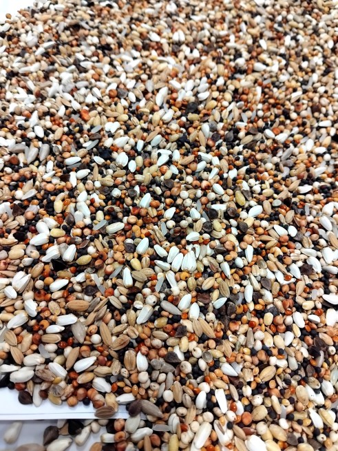 Nasiona Oleiste dla dzikich ptaków 1 kg  (3)