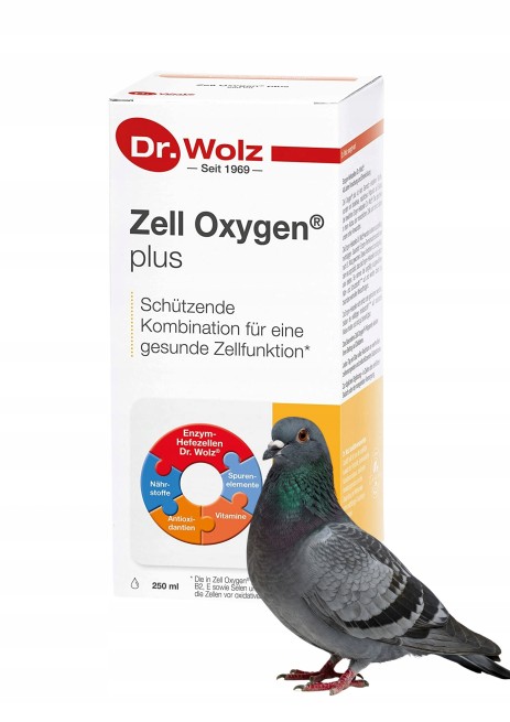 DR WOLZ ZELL OXYGEN plus 250ml (1)