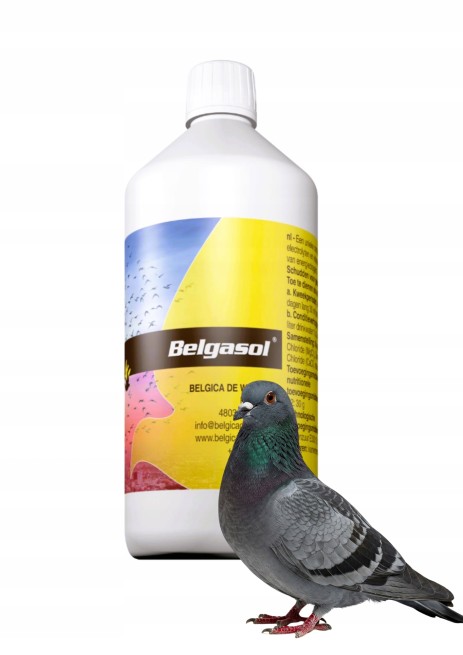 BELGASOL 1L dla gołębi (1)