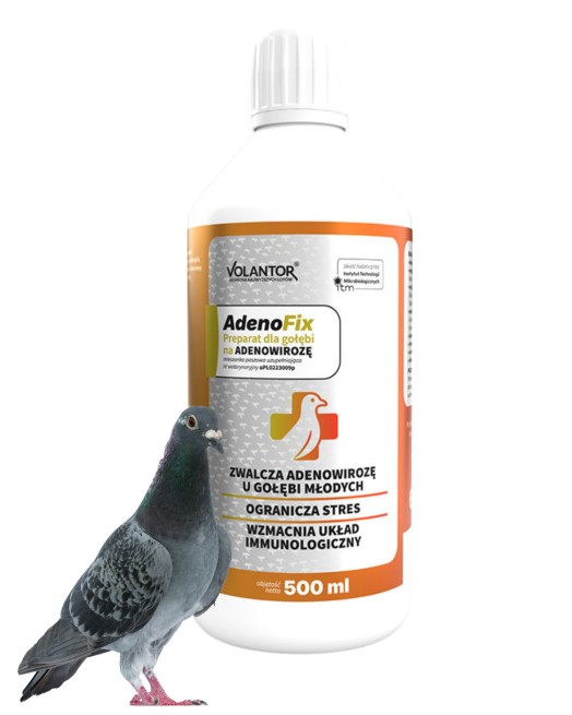AdenoFix to preparat wspierający młode gołębie w okresie osłabienia, problemów trawiennych oraz zwiększonego ryzyka adenowirozy. Pomaga w odbudowie sił i poprawie ogólnej kondycji. (1)