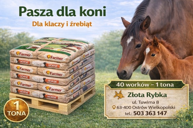 Farmer PASZA DLA KONI 1 tona ! Przesyłka Gratis! (1)