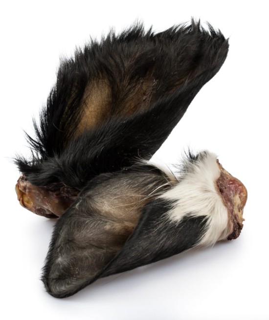 Ucho wołowe z futrem gryzak dla psa 1szt - Balto (1)