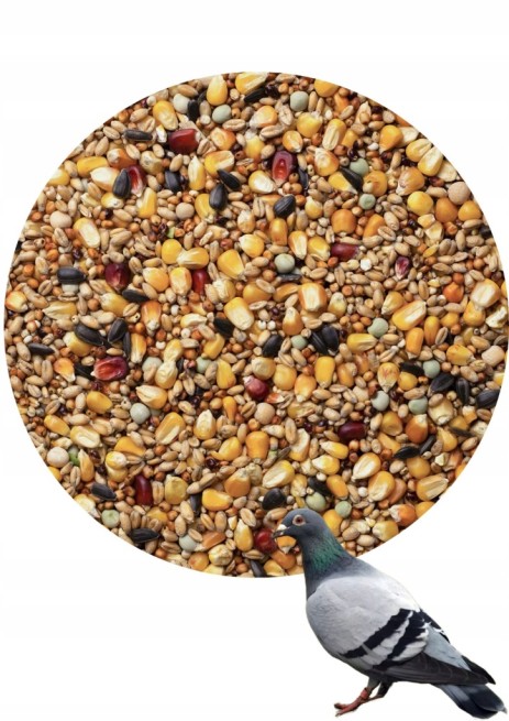 Sezonowa karma dla gołębi 20kg - Najlepsza mieszanka Agro King (2)