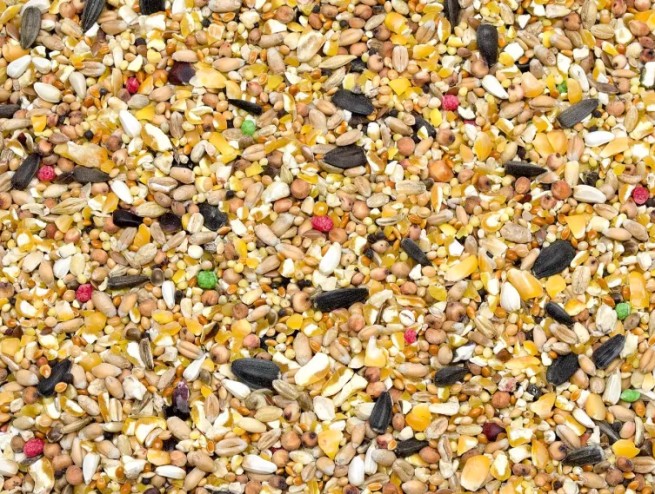 Karma dla ptaków Ptasi Przysmak (ptactwo przydomowe) - PP 1kg (1)