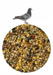 Karma dla gołębi Agro King Pierzeniowa 25kg