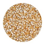 mini: Kukurydza POPCORN PĘKAJĄCY 1kg (1)