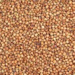 Sorgo Czerwone 1 Kg