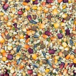 mini: LWP-Lotowa dla Wdowców Extra Power - MDM 25kg (2)