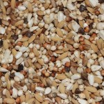 mini: SD-Super Dieta - Mrowca 20kg (2)