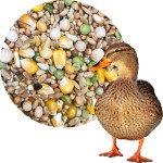  Karma dla Kaczek Parkowa 1 kg