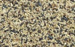 Karma dla kanarków małych ptaków uniwersalna 10kg KAMPOL
