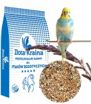 mini: Papuga Falista NAJTANIEJ Super jakość !!! 10 kg (1)