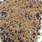 mini: Karma dla kur z muszlą 10 KG ZŁOTA KRAINA (3)