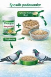mini: Rohnfried Avimycin Forte dla gołębi 400G (Wsparcie metaboliczne) (2)
