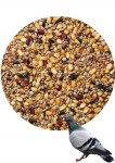 mini: Sezonowa karma dla gołębi 20kg - Najlepsza mieszanka Agro King (2)