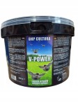 mini: DHP CULTURA V-POWER 2,5L (1)