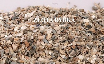 Muszla dla Drobiu 24mmImporter  1 Kg