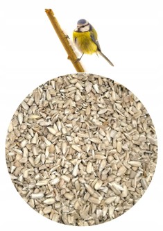 Słonecznik łuskany dla ptaków 10 kg
