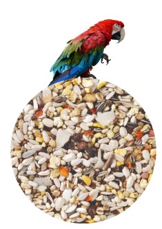Deli Nature 64 Mieszanka dla papugi z owocami 1kg