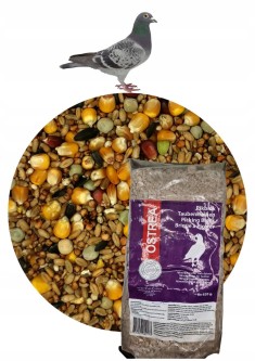 Karma dla gołębi Agro King Sezonowa 10kg + GRATIS kołacz mineralny (6x620g)
