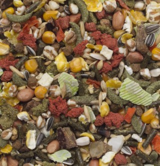 Karma z białkami zwierzęcymi, orzechami i nasionami dla małych gryzoni 15kg