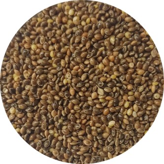Proso Zielone 1 KG
