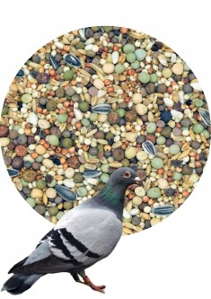MDM JO – JUNIOR dla gołębi 25kg