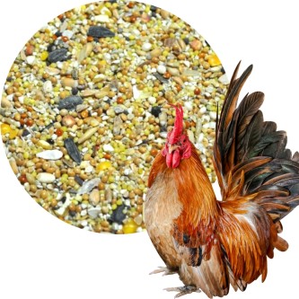 Karma dla kur z muszlą zdrowe jaja Nowość 1 kg