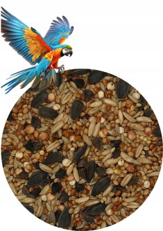 Karma dla papug małych i średnich 10kg ZŁOTA KRAINA
