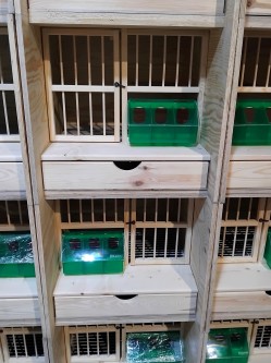 Obrazek dla: Boksy rozpłodowe dla gołębi – zestaw 6 szt. ze sklejki  Wysyłka GRATIS