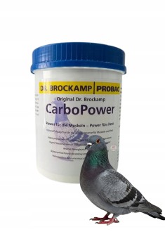 Obrazek dla: DR. BROCKAMP CARBO POWER 500G DLA GOŁĘBI